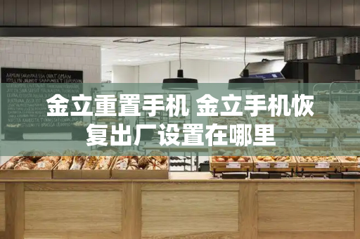 金立重置手机 金立手机恢复出厂设置在哪里-第1张图片-星选测评