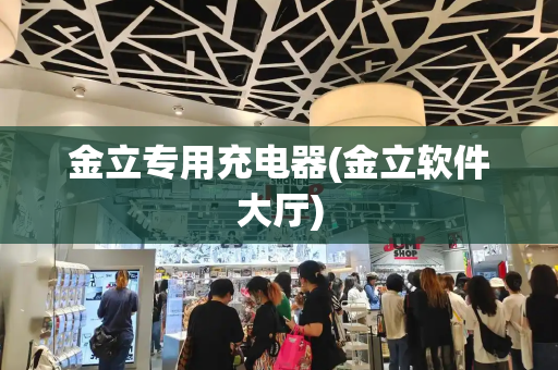 金立专用充电器(金立软件大厅)