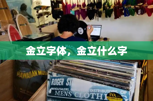 金立字体，金立什么字
