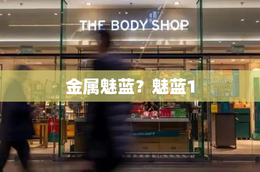 金属魅蓝？魅蓝1-第1张图片-星选测评