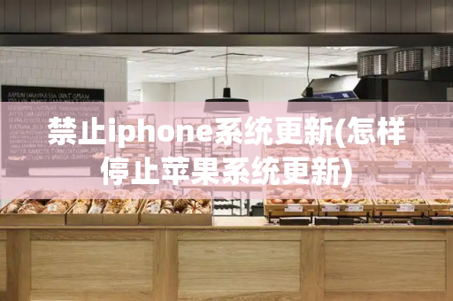 禁止iphone系统更新(怎样停止苹果系统更新)-第1张图片-星选测评