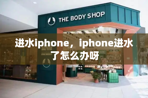 进水iphone，iphone进水了怎么办呀