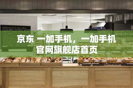 京东 一加手机，一加手机官网旗舰店首页