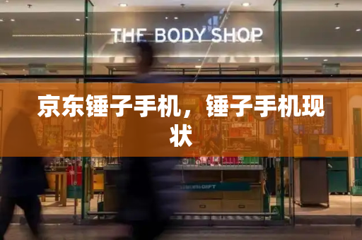 京东锤子手机，锤子手机现状-第1张图片-星选测评