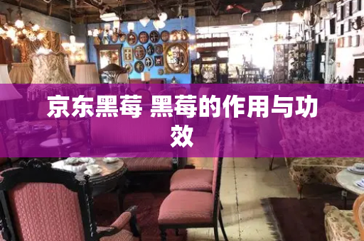 京东黑莓 黑莓的作用与功效