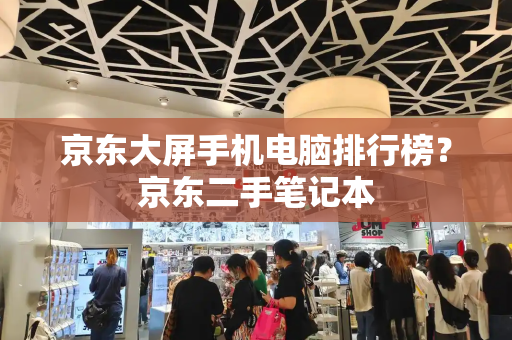 京东大屏手机电脑排行榜？京东二手笔记本