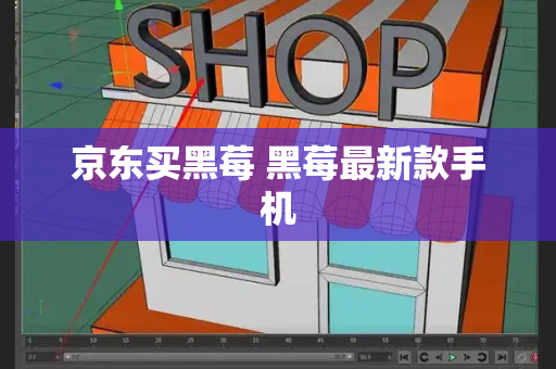 京东买黑莓 黑莓最新款手机