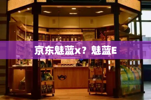 京东魅蓝x？魅蓝E-第1张图片-星选测评