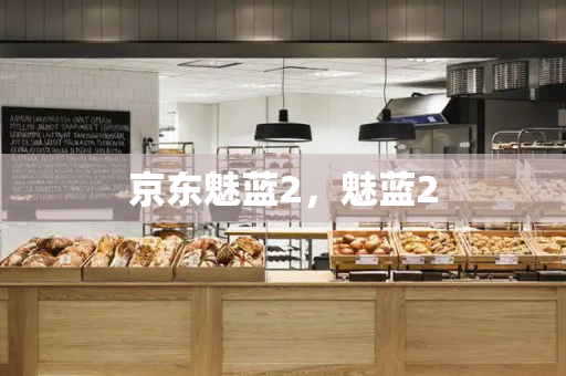 京东魅蓝2，魅蓝2-第1张图片-星选测评