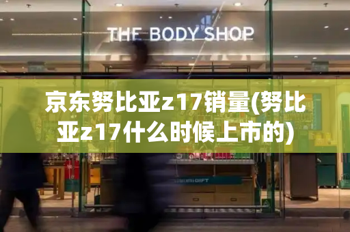 京东努比亚z17销量(努比亚z17什么时候上市的)-第1张图片-星选测评