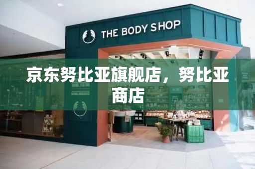 京东努比亚旗舰店，努比亚商店