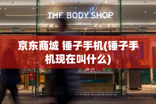 京东商城 锤子手机(锤子手机现在叫什么)