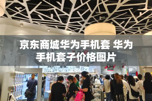 京东商城华为手机套 华为手机套子价格图片