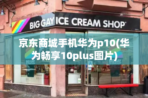 京东商城手机华为p10(华为畅享10plus图片)