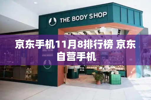 京东手机11月8排行榜 京东自营手机-第1张图片-星选测评
