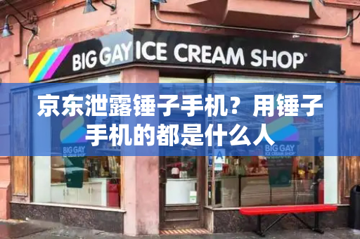 京东泄露锤子手机？用锤子手机的都是什么人-第1张图片-星选测评