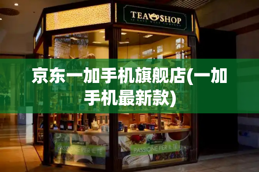 京东一加手机旗舰店(一加手机最新款)