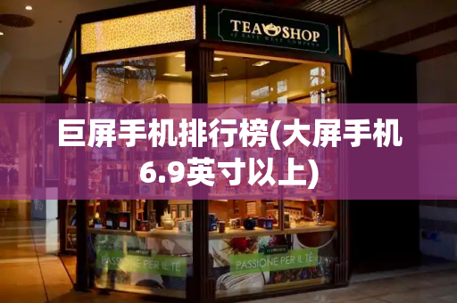 巨屏手机排行榜(大屏手机6.9英寸以上)-第1张图片-星选测评