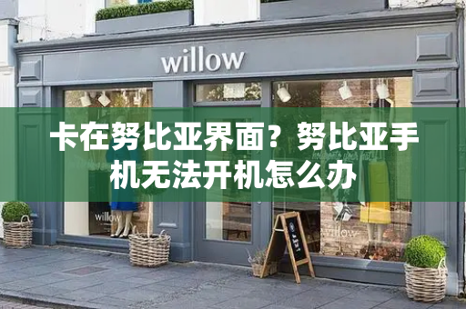 卡在努比亚界面？努比亚手机无法开机怎么办-第1张图片-星选测评