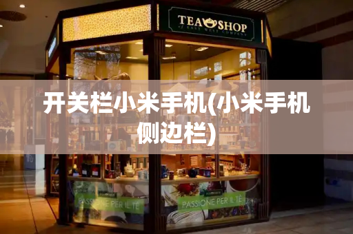 开关栏小米手机(小米手机侧边栏)