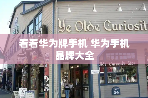 看看华为牌手机 华为手机品牌大全