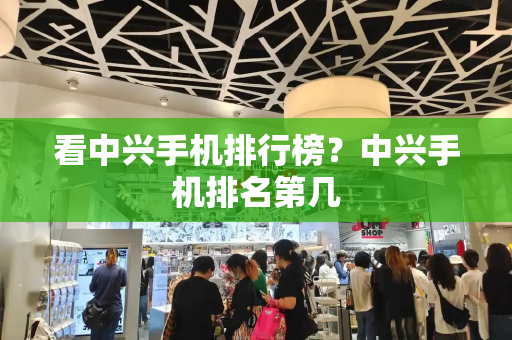 看中兴手机排行榜？中兴手机排名第几