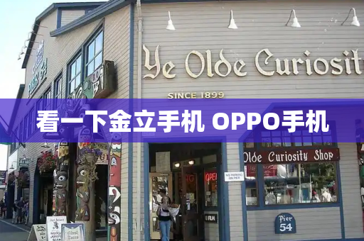 看一下金立手机 OPPO手机-第1张图片-星选测评
