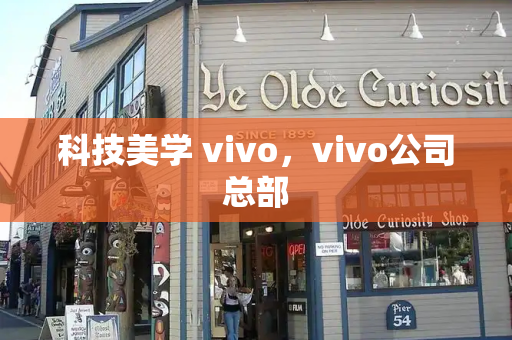 科技美学 vivo，vivo公司总部