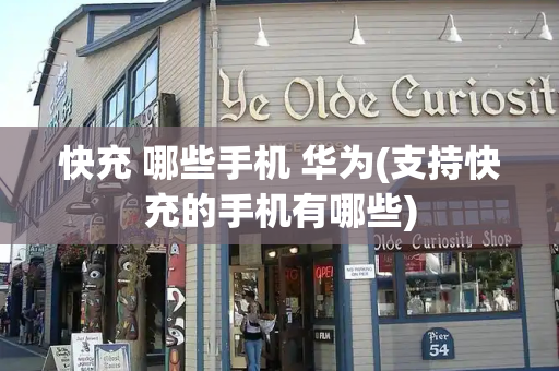 快充 哪些手机 华为(支持快充的手机有哪些)-第1张图片-星选测评