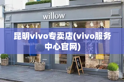 昆明vivo专卖店(vivo服务中心官网)-第1张图片-星选测评