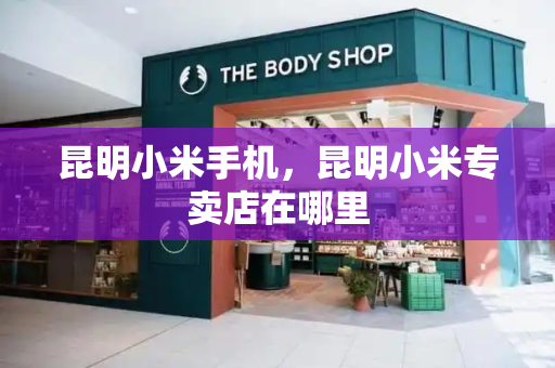 昆明小米手机，昆明小米专卖店在哪里-第1张图片-星选测评