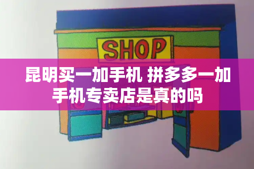 昆明买一加手机 拼多多一加手机专卖店是真的吗-第1张图片-星选测评