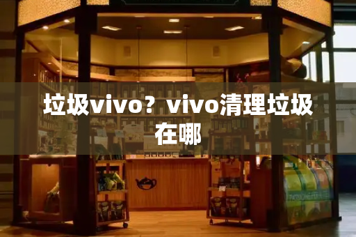 垃圾vivo？vivo清理垃圾在哪