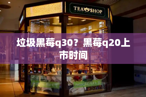 垃圾黑莓q30？黑莓q20上市时间
