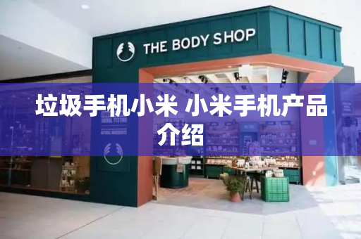 垃圾手机小米 小米手机产品介绍-第1张图片-星选测评