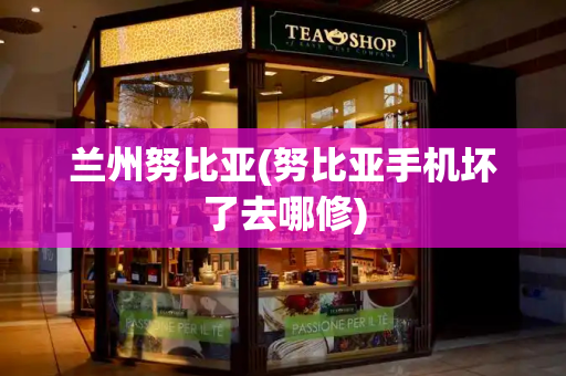 兰州努比亚(努比亚手机坏了去哪修)-第1张图片-星选测评