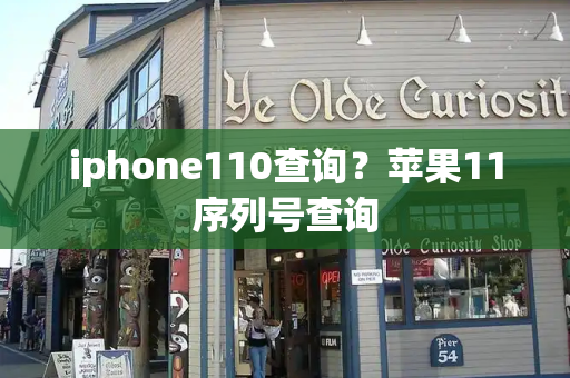 iphone110查询？苹果11序列号查询