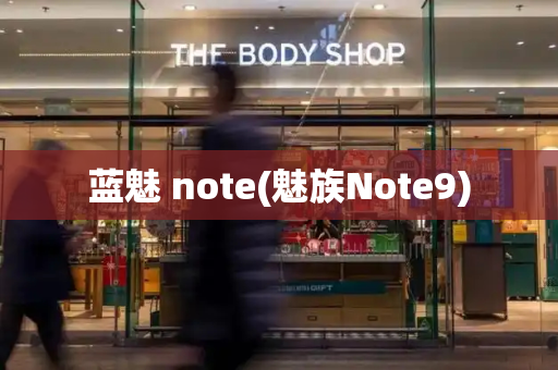 蓝魅 note(魅族Note9)