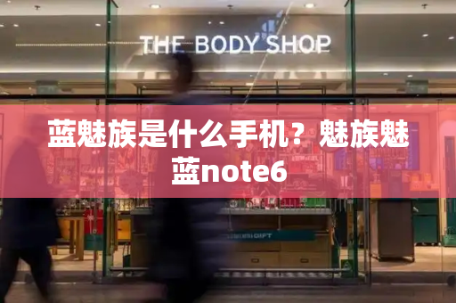 蓝魅族是什么手机？魅族魅蓝note6-第1张图片-星选测评