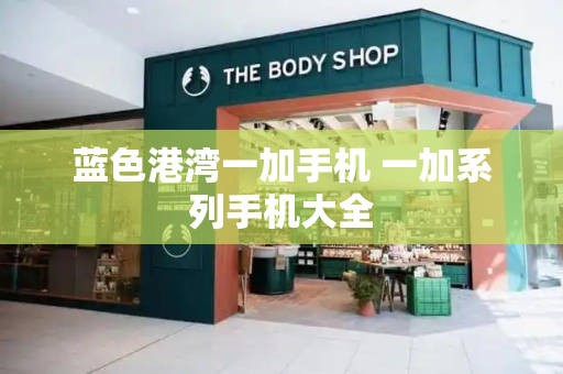 蓝色港湾一加手机 一加系列手机大全