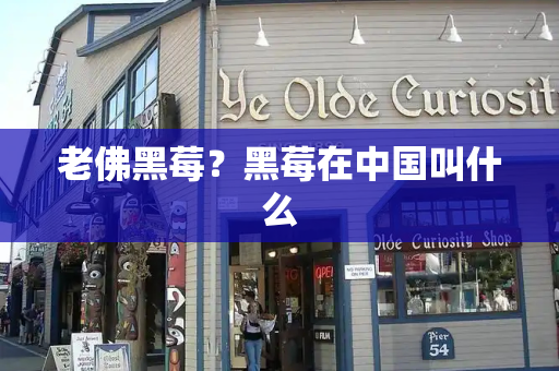 老佛黑莓？黑莓在中国叫什么