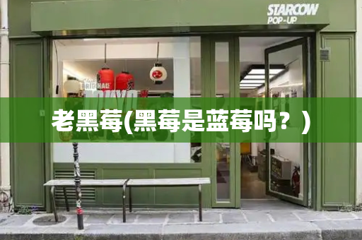 老黑莓(黑莓是蓝莓吗？)-第1张图片-星选测评