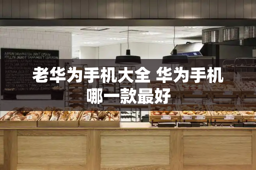 老华为手机大全 华为手机哪一款最好-第1张图片-星选测评