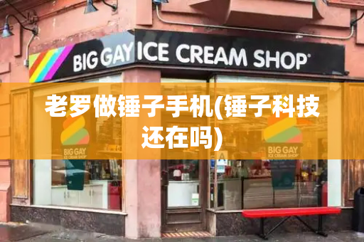 老罗做锤子手机(锤子科技还在吗)