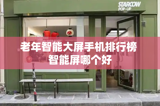 老年智能大屏手机排行榜 智能屏哪个好-第1张图片-星选测评