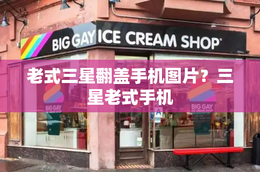 老式三星翻盖手机图片？三星老式手机