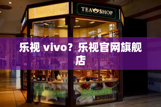 乐视 vivo？乐视官网旗舰店
