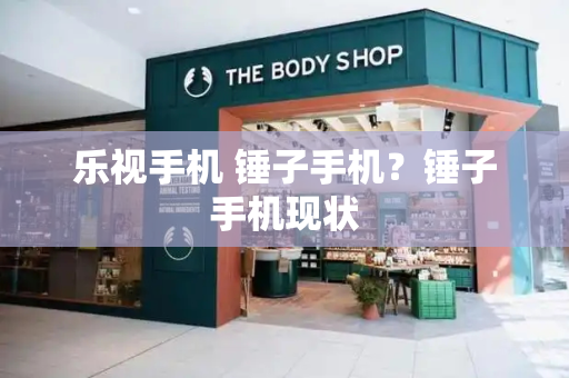 乐视手机 锤子手机？锤子手机现状