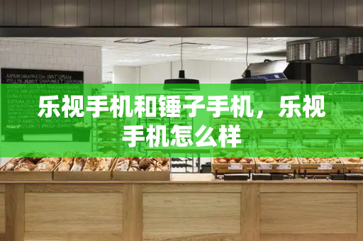 乐视手机和锤子手机，乐视手机怎么样-第1张图片-星选测评