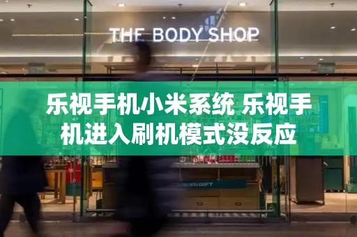 乐视手机小米系统 乐视手机进入刷机模式没反应-第1张图片-星选测评